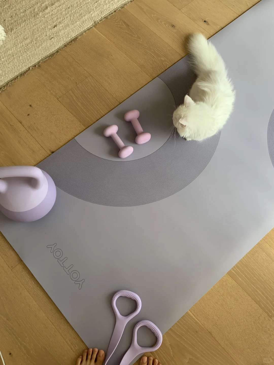 在家运动真的很惬意 ?