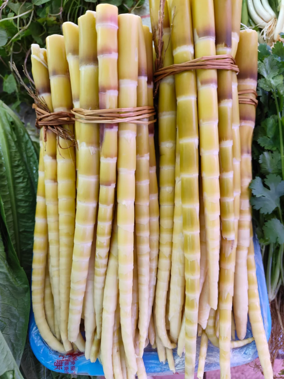 百色龙景菜市场越看越治愈的菜，忍不住拍拍