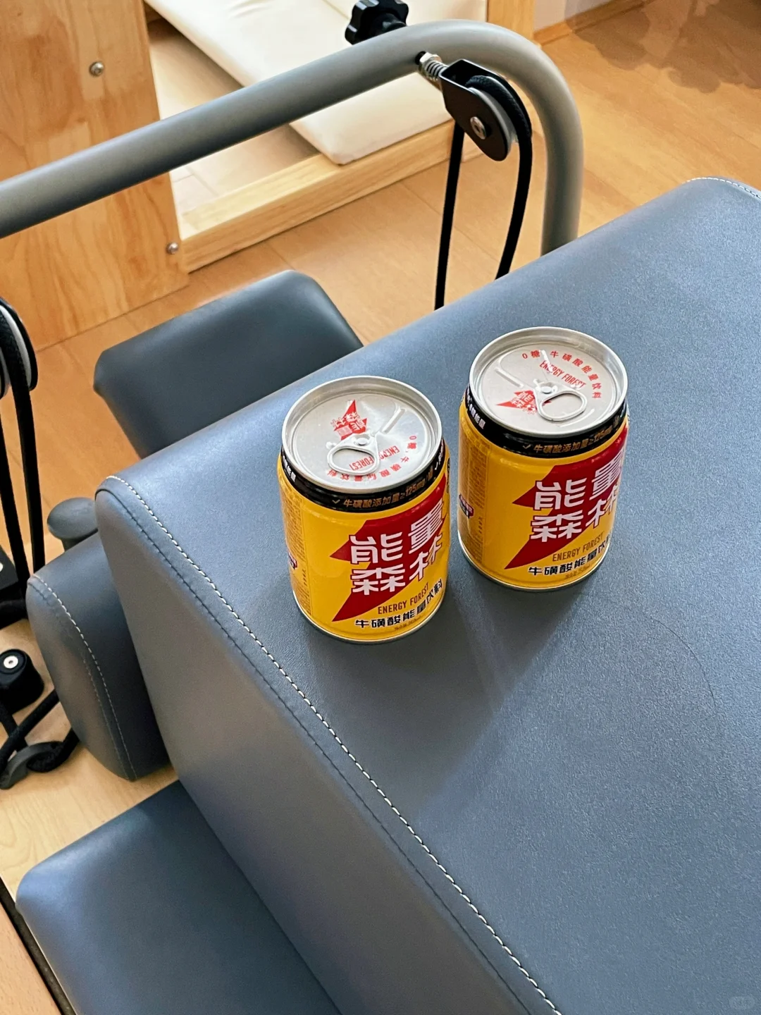 能量森林｜完美地平衡你的健康与活力?