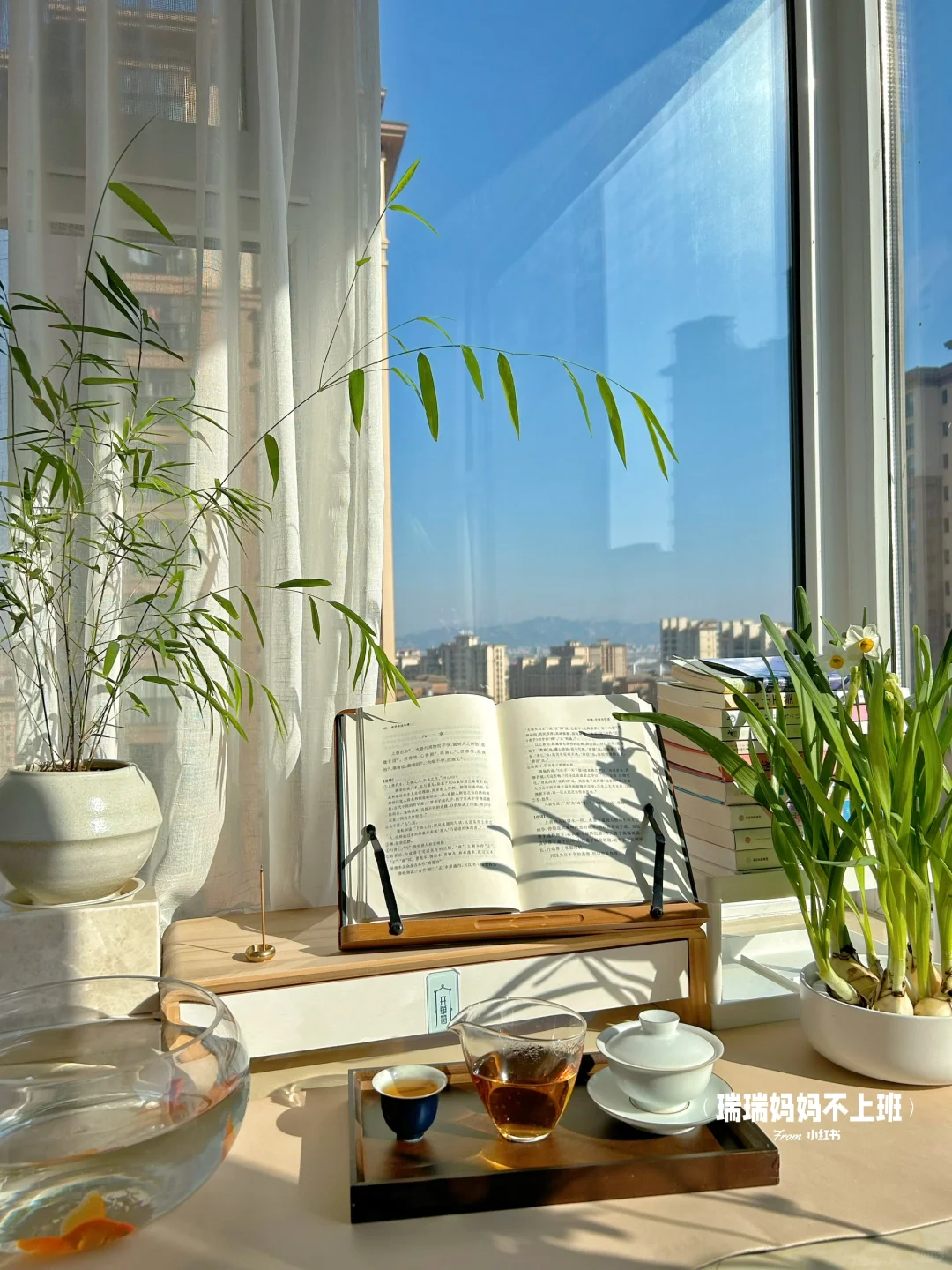 36岁,家是我的能量场,独处是灵魂的充电站✨