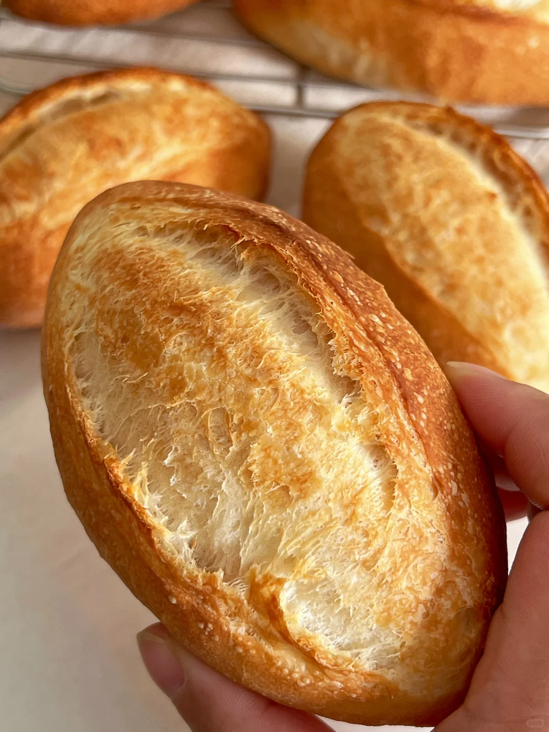 无糖油低卡面包合集?适合节后吃的干净碳水