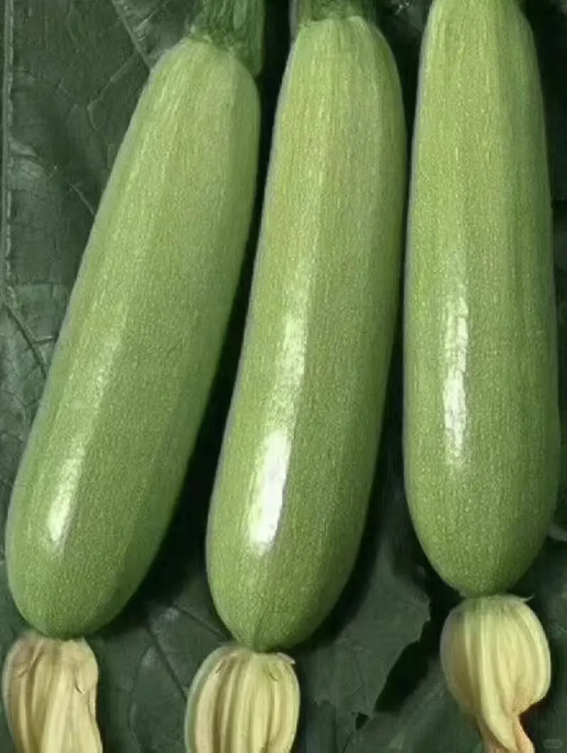 2025年10月27日穗虔优农蔬菜批发价格