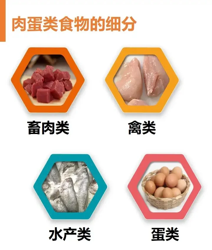 全民营养周?之鱼、禽、肉、蛋等动物性食物