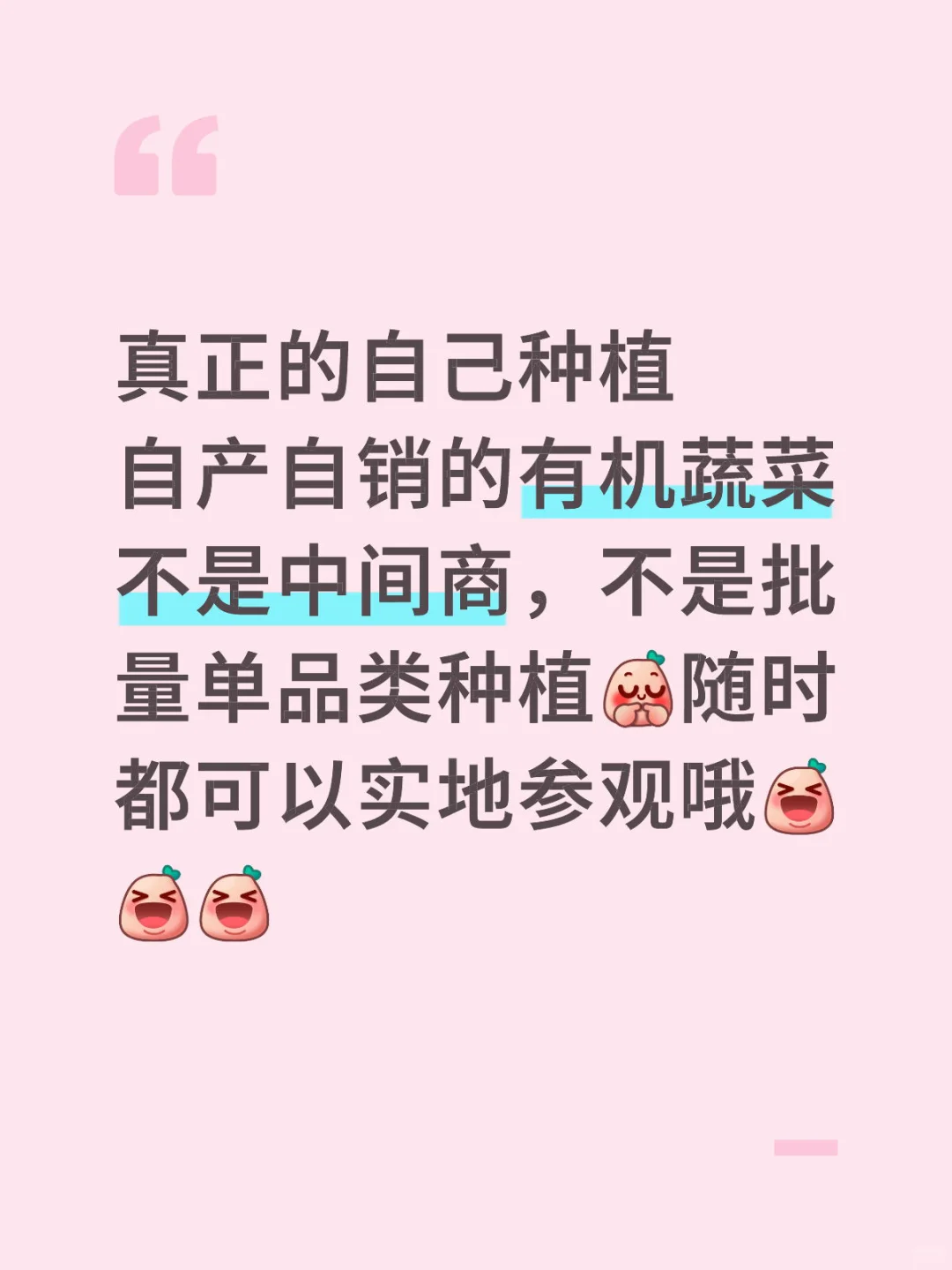 真真正正的自产有机蔬菜