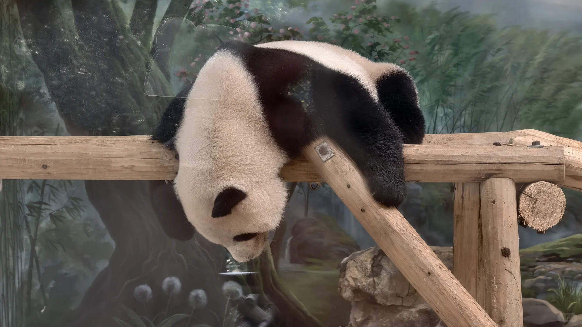 特种兵之杭州动物园