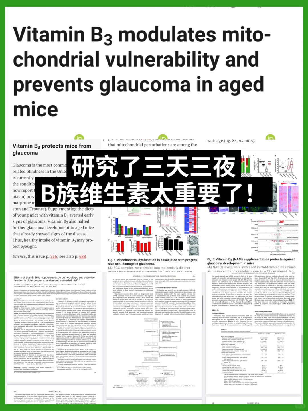 营养师解读|B族维生素的重要性⚠️