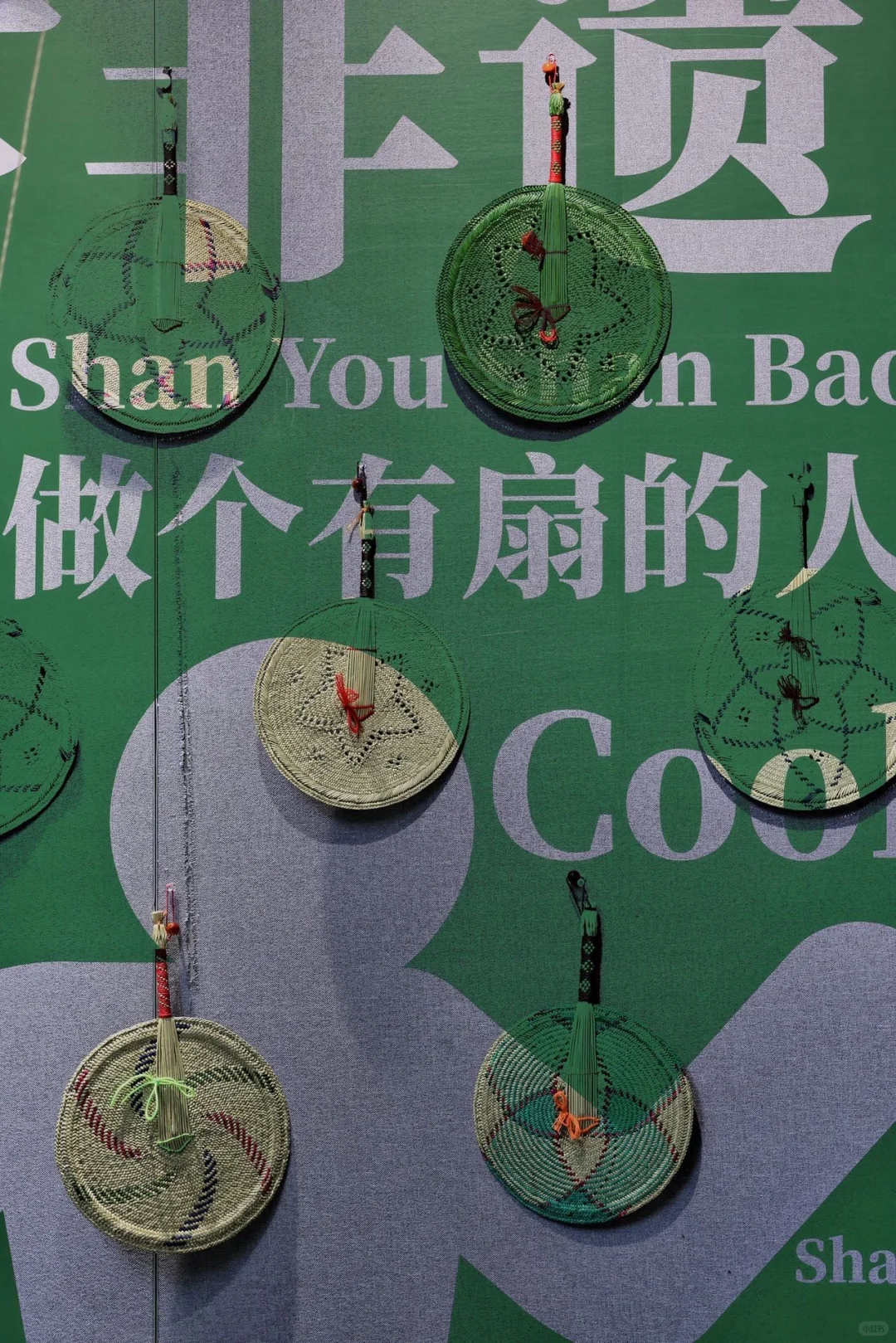 宁波新展｜芊编万化，一棵草的浪漫