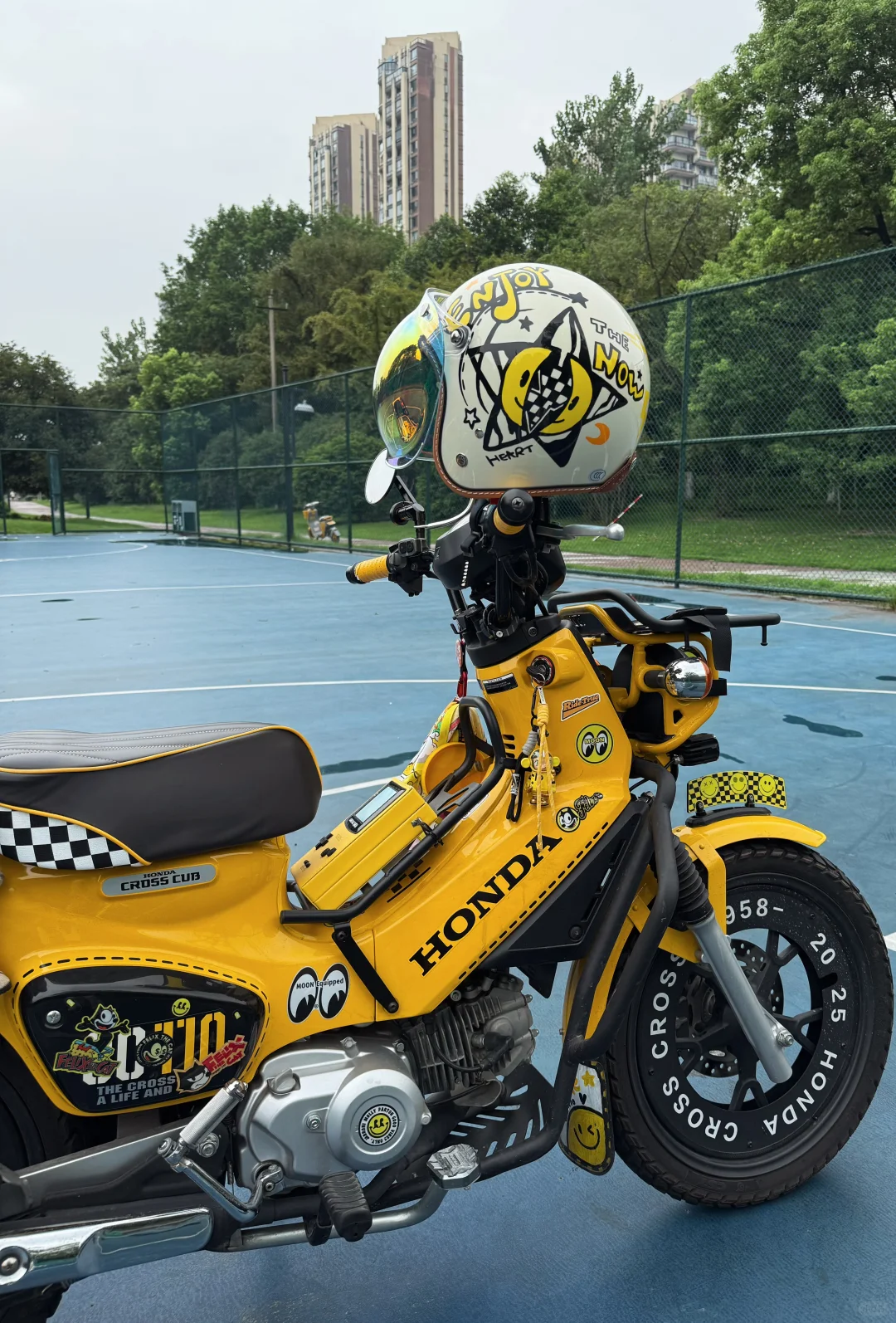 幼兽改装清单！！！！