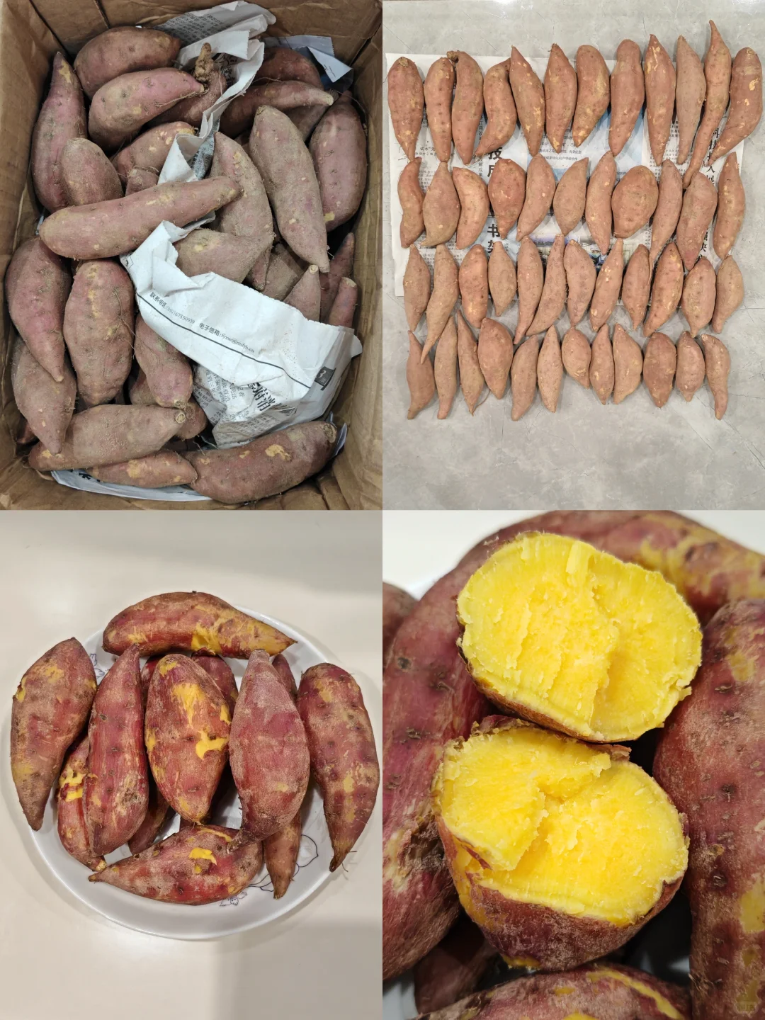 平价蔬菜粗粮我真的可以一直买