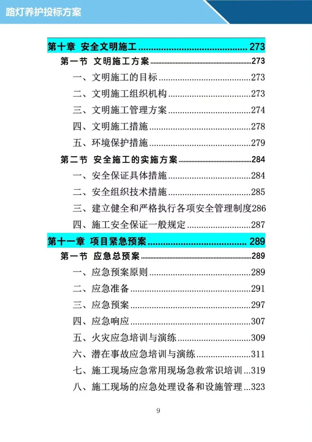 投了十年标写的路灯养护投标方案，投标必备