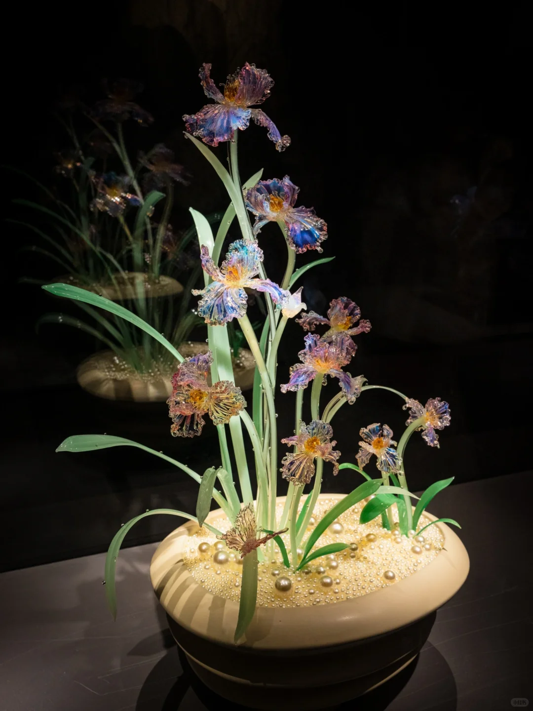 为了看这永不凋零的浪漫，特意来了趟淄博！