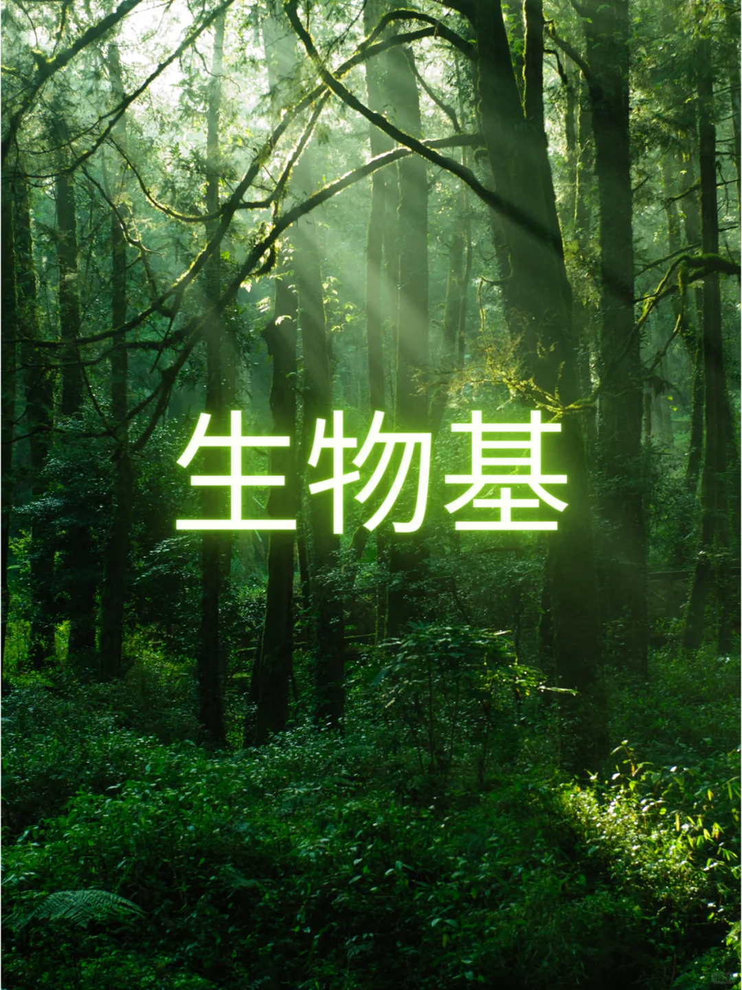 ? 绿色时尚:生物基纤维的崭新时代