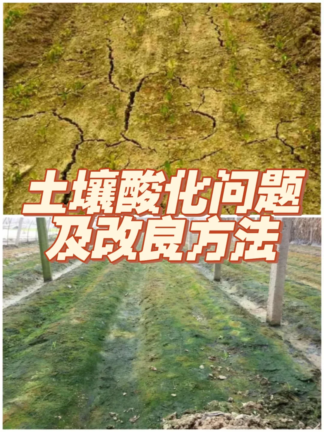 土壤酸化问题及土壤酸化改良方法