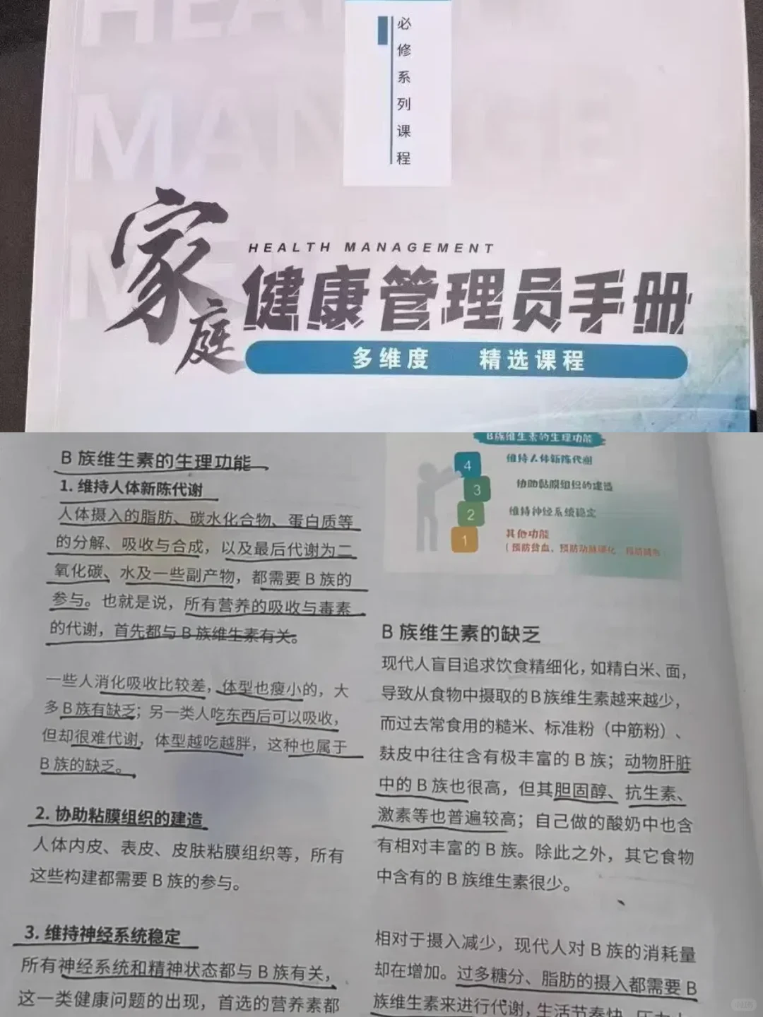 便㊙:就吃益生菌和复合维生素B族