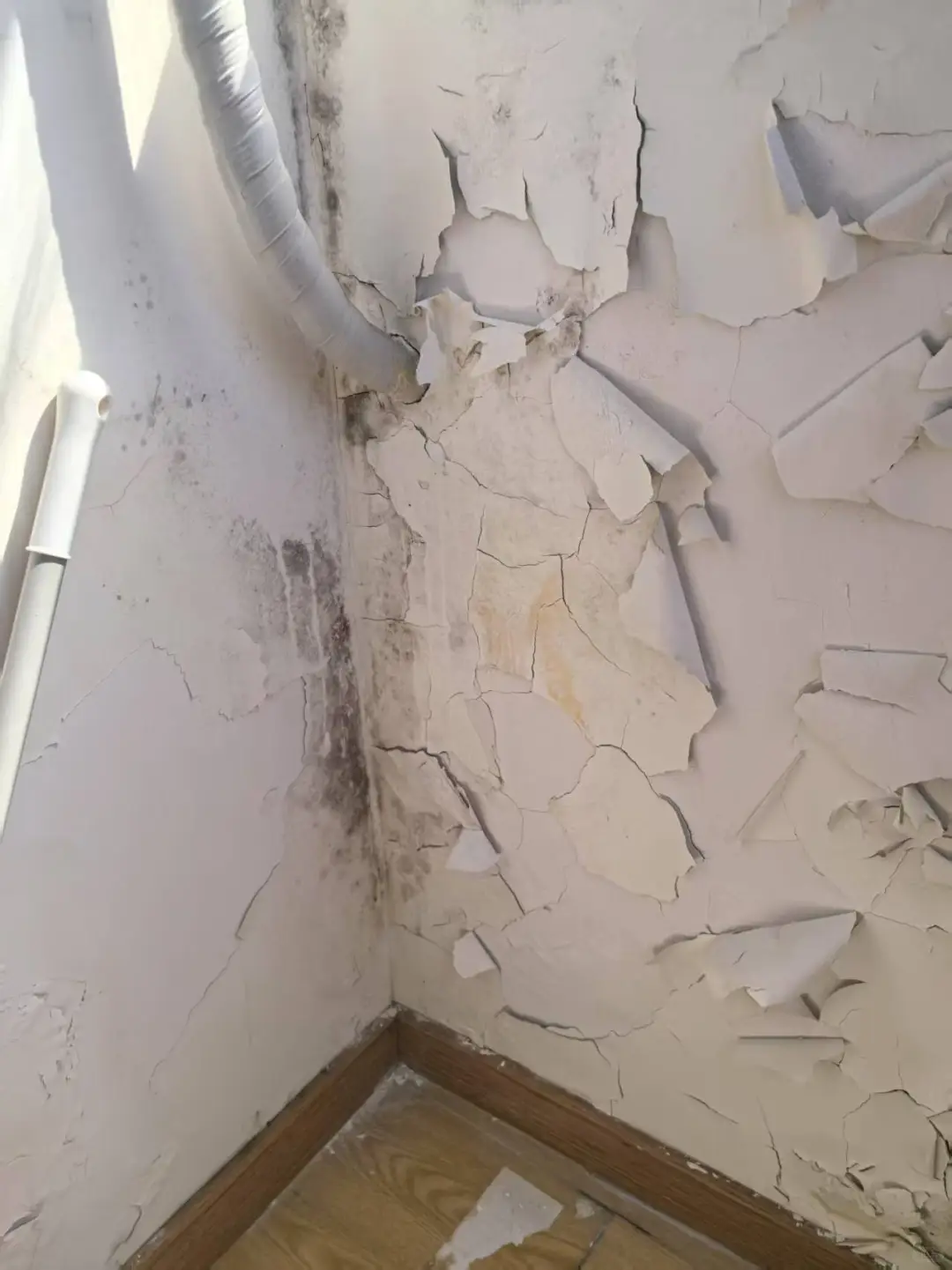 墙面渗水问题合集！