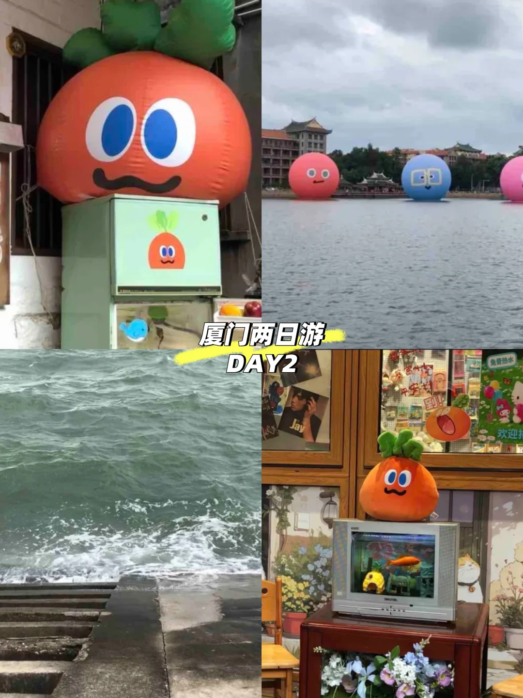 厦门特种兵!两天一夜一人游攻略