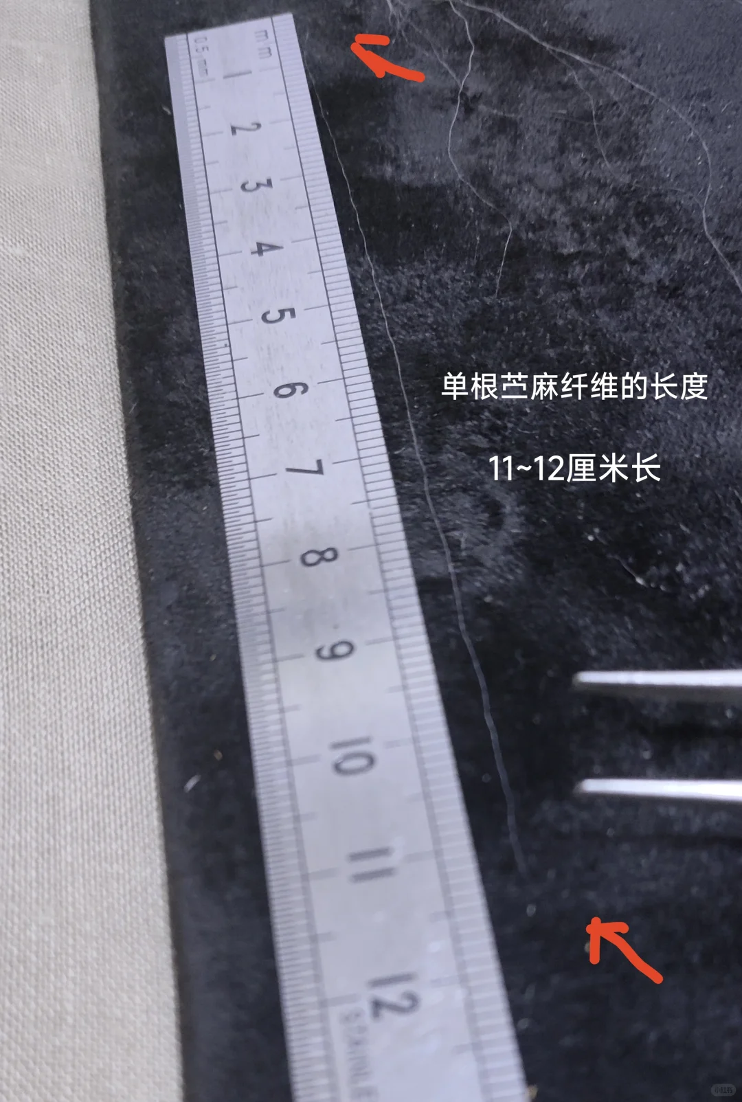 你的衣服真的是苎麻做的吗？一一苎麻鉴别篇