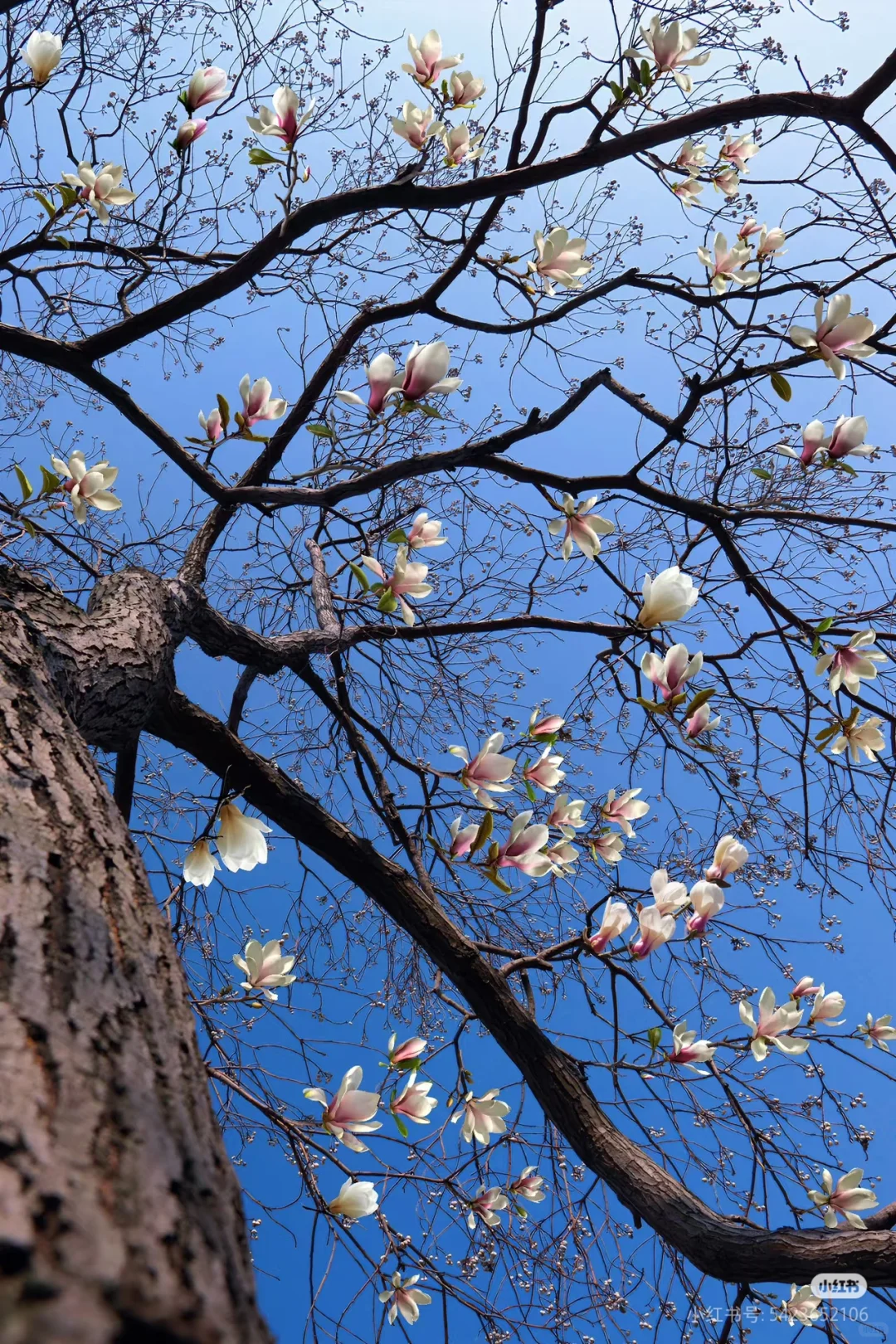 纺织工程的宝子进来看