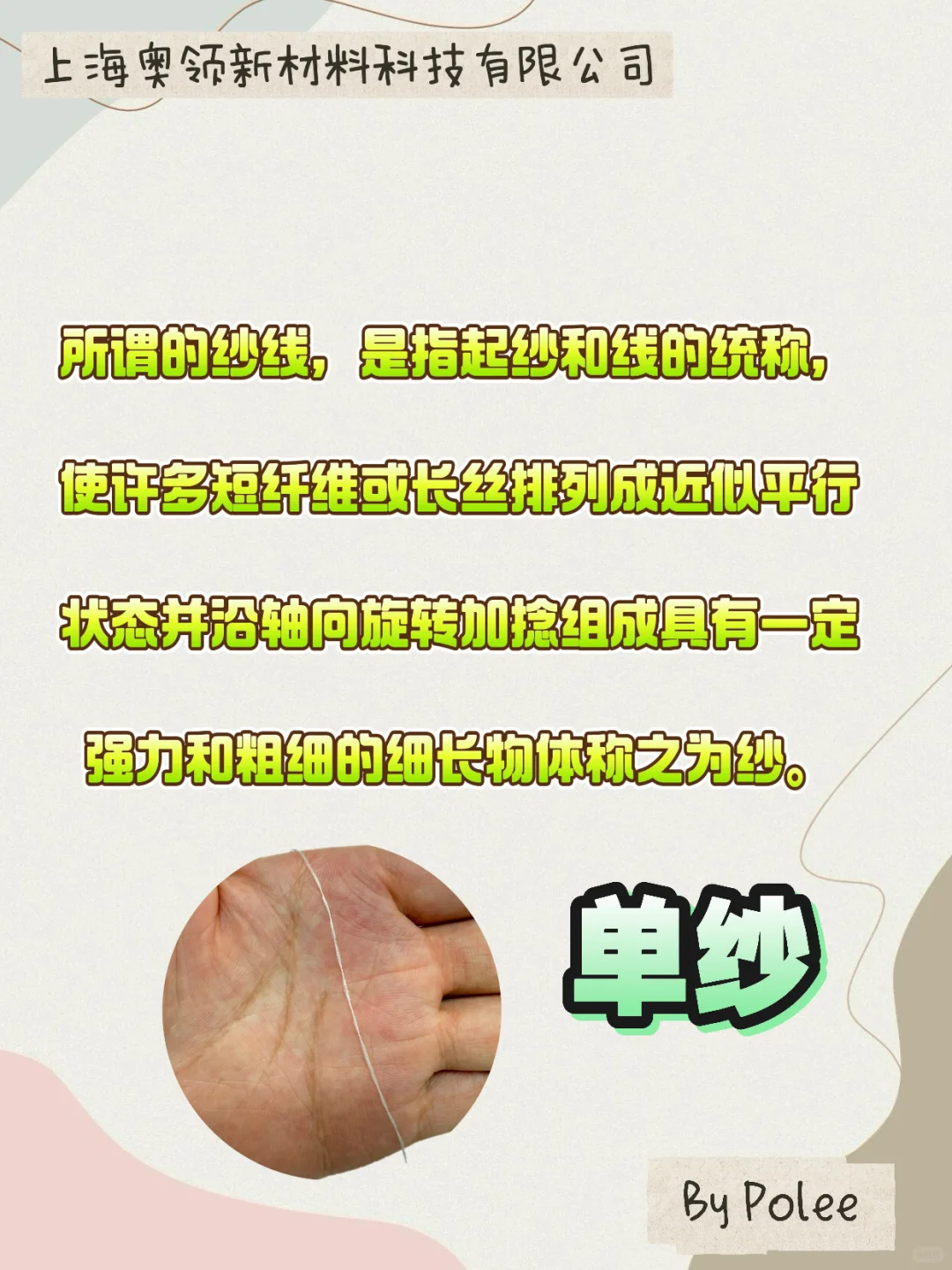单纯和股数怎么区分❓