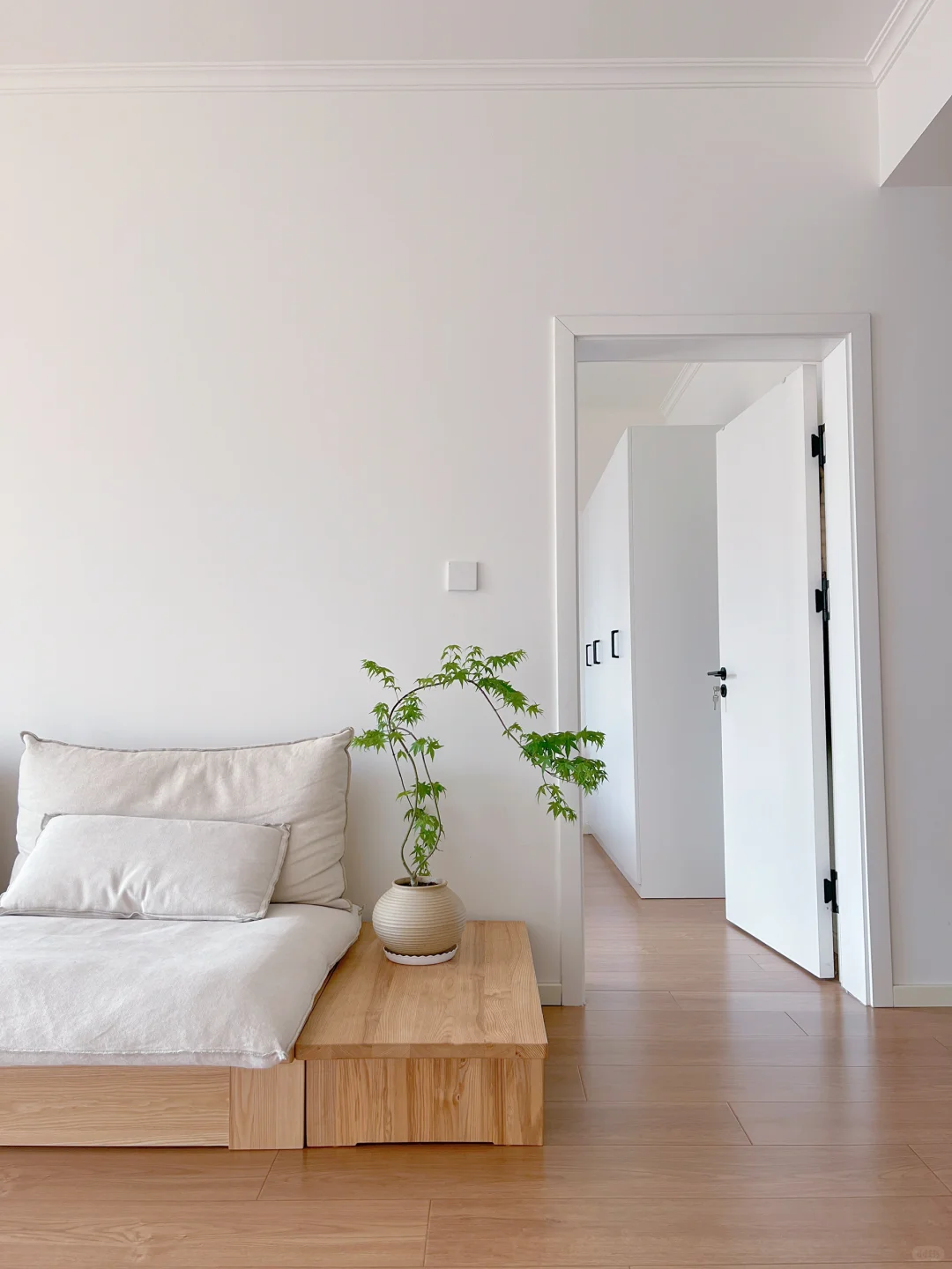 家净则心安|少物则心静