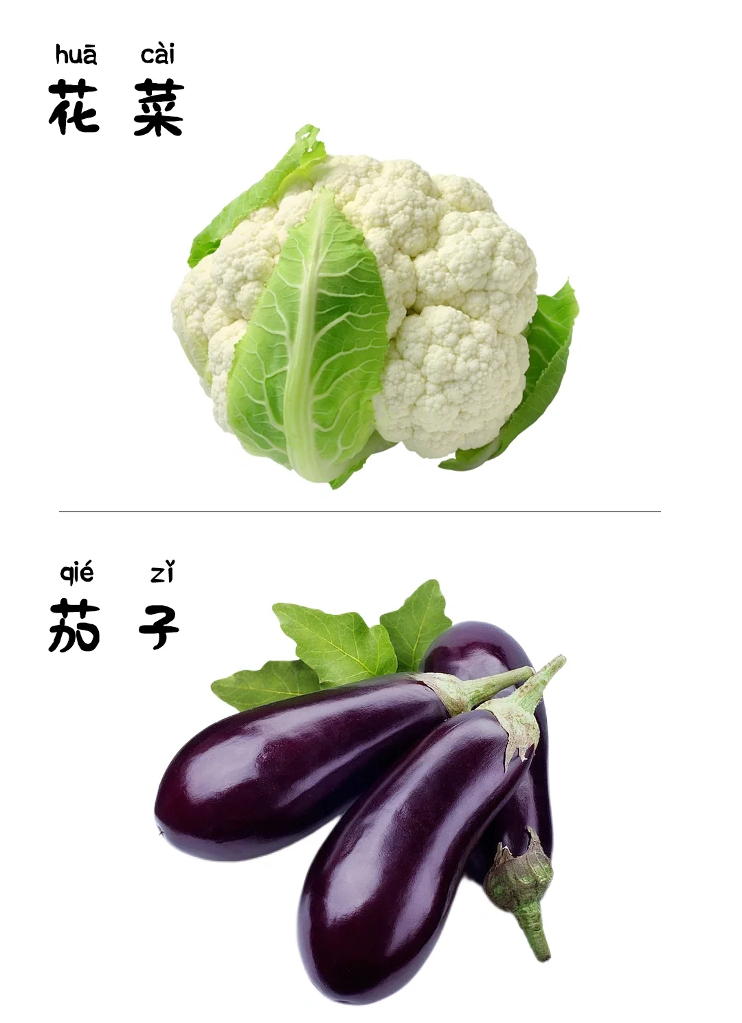 儿童早教启蒙识图-蔬菜