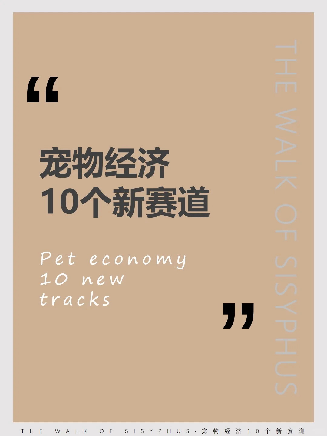 商业洞察｜宠物经济10 个新赛道