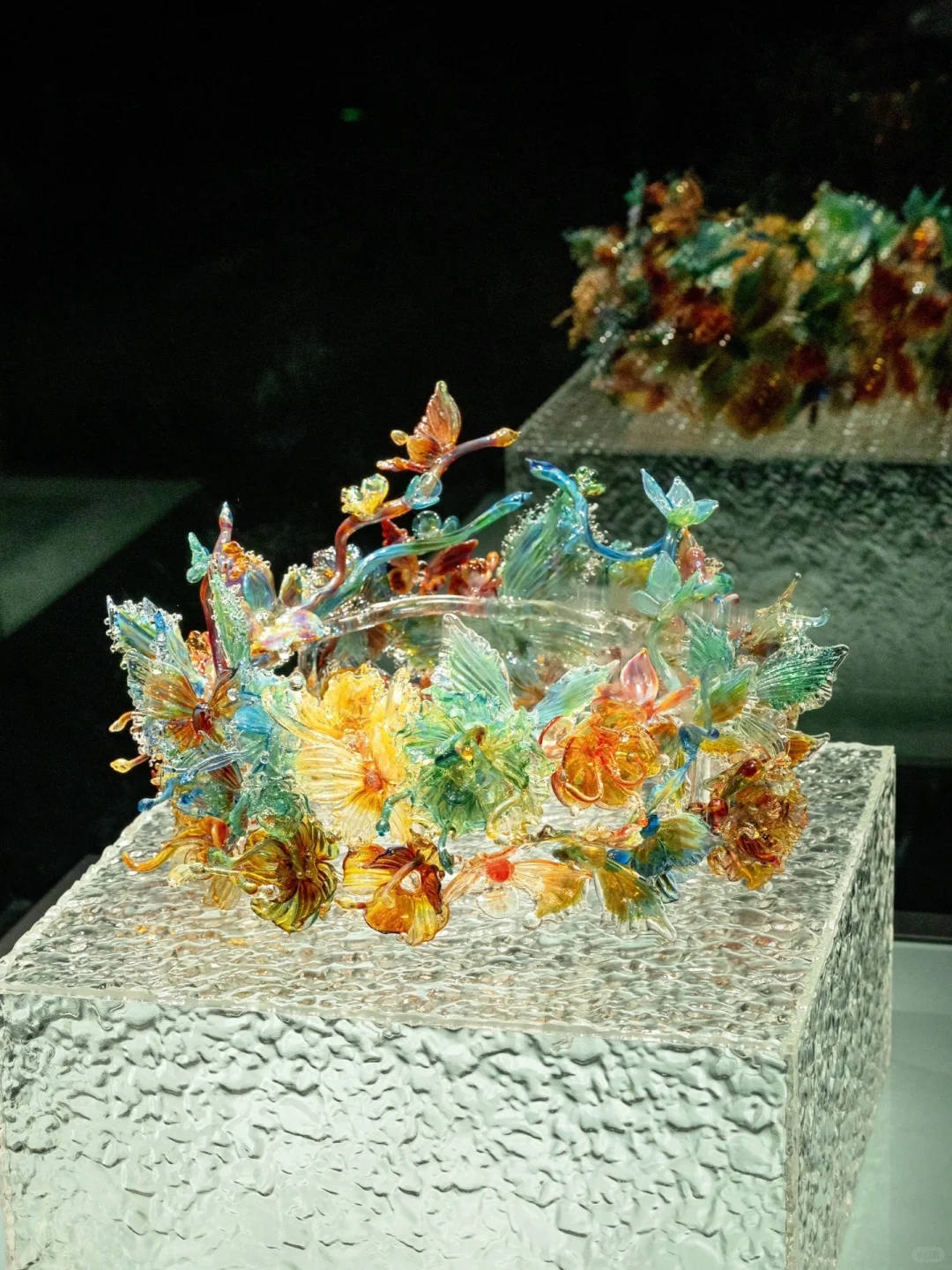 为了看这永不凋零的浪漫，特意来了趟淄博！