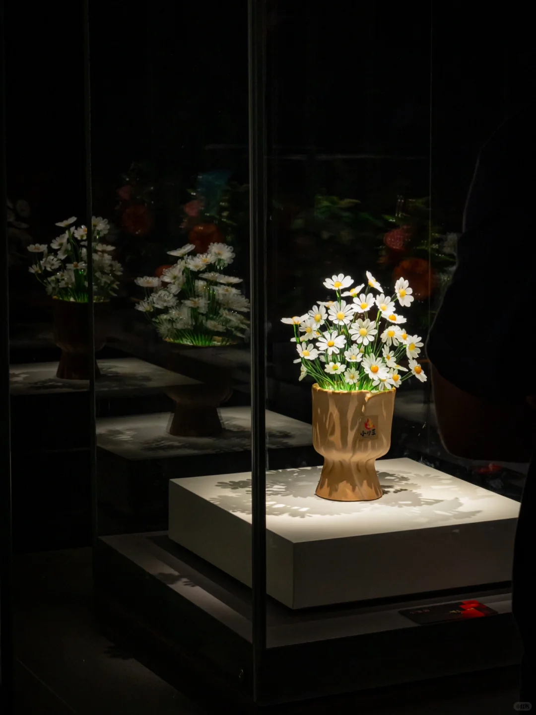 为了看这永不凋零的浪漫，特意来了趟淄博！