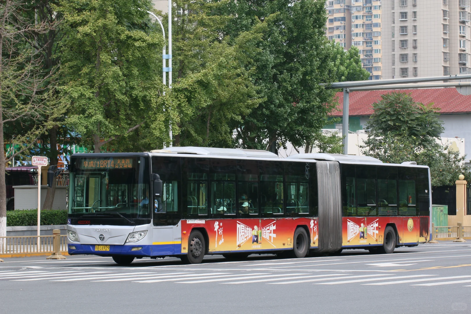 属于他们的最后一夏