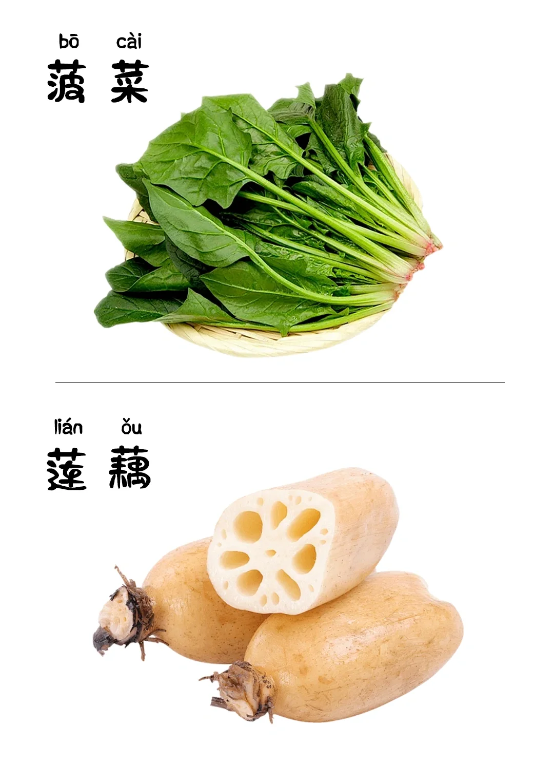 儿童早教启蒙识图-蔬菜