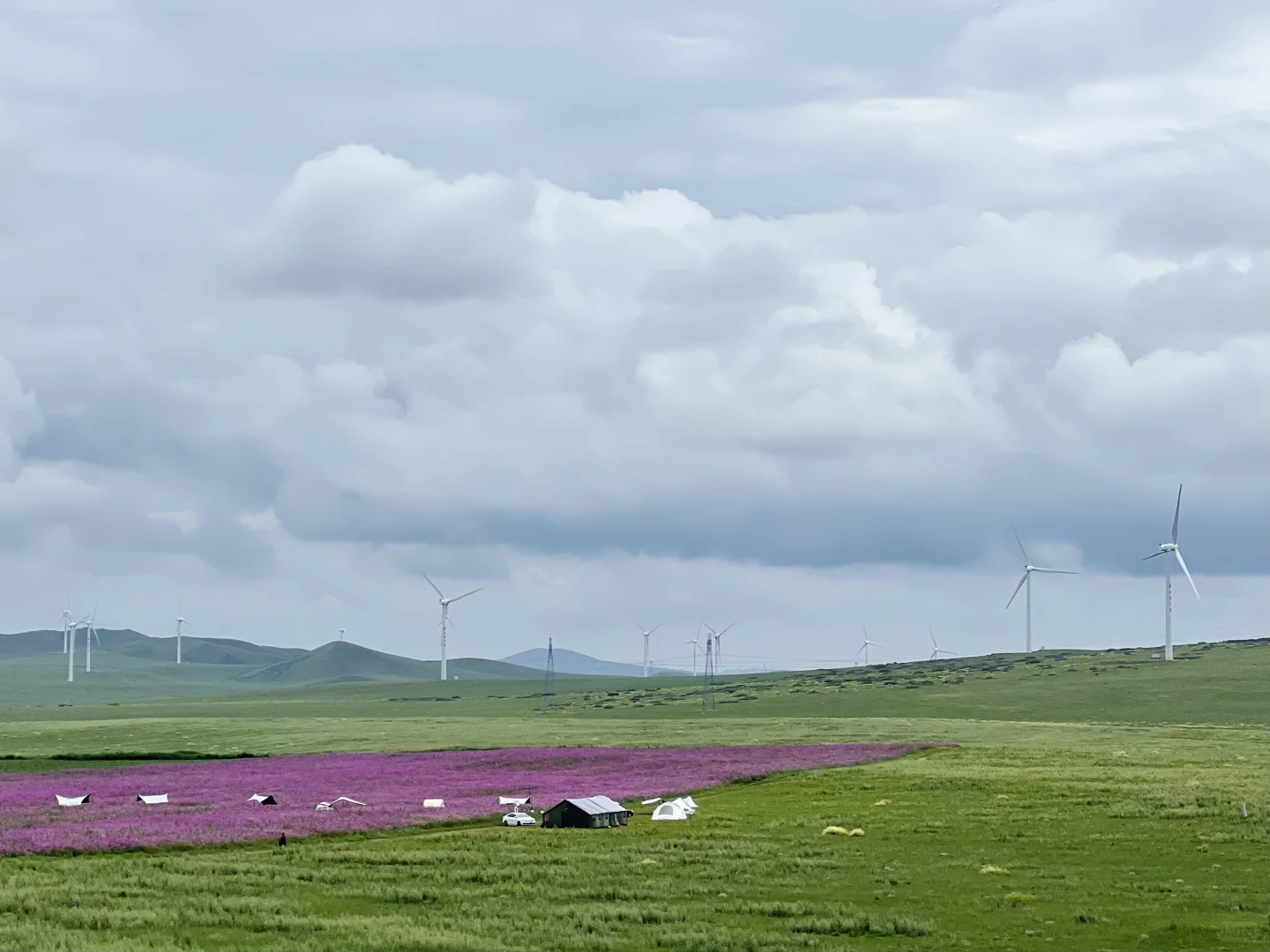 风车清楚每阵风的来意