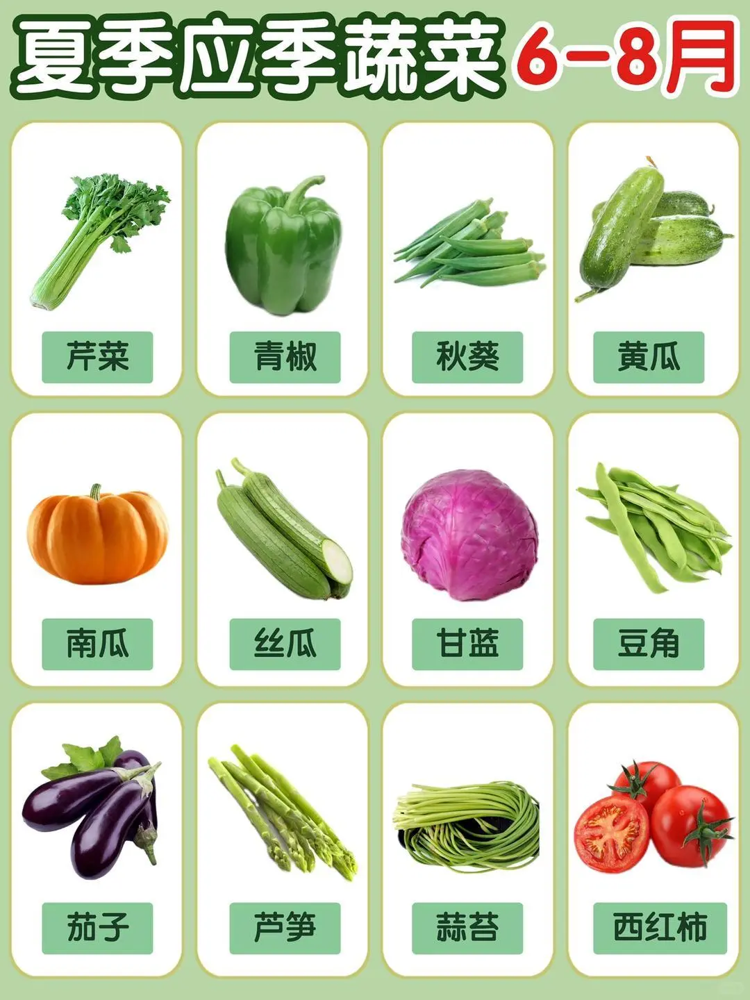 应季蔬菜时间表