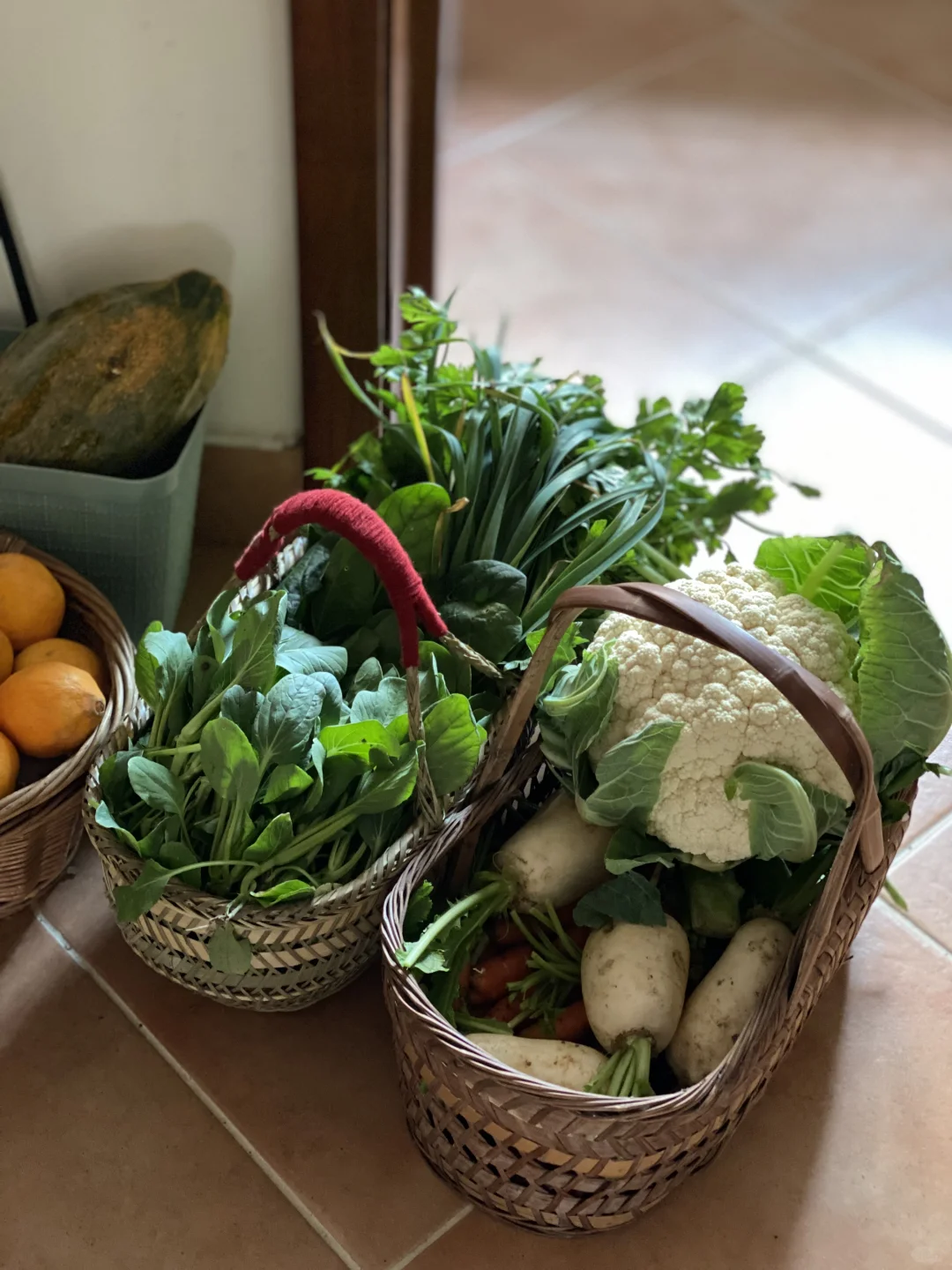 去田里买菜这件事太有情绪价值啦❤️☀️?