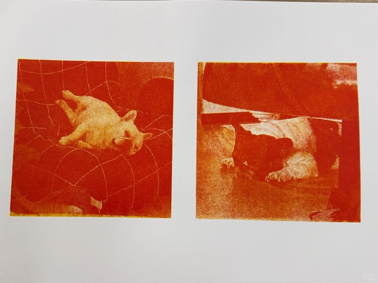 这照片的质感是自己能印出来的?！？