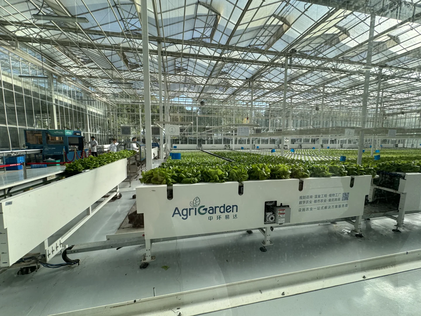 现在的农业还有可以创业的空间吗?