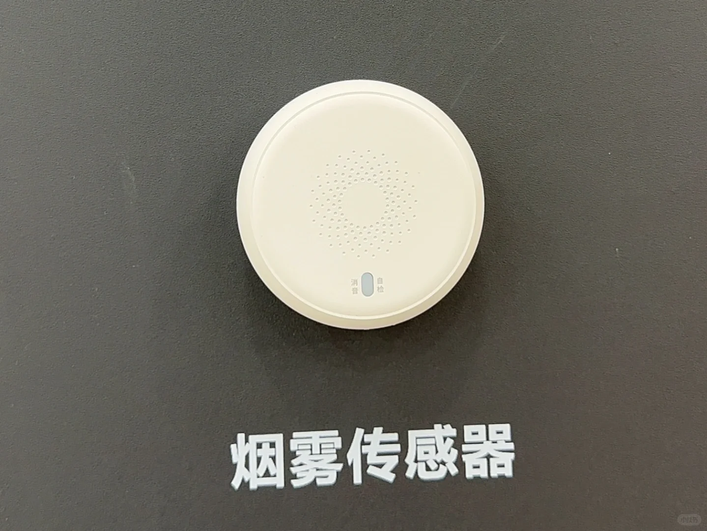 我真的找了一家专做智能家居公司上班了