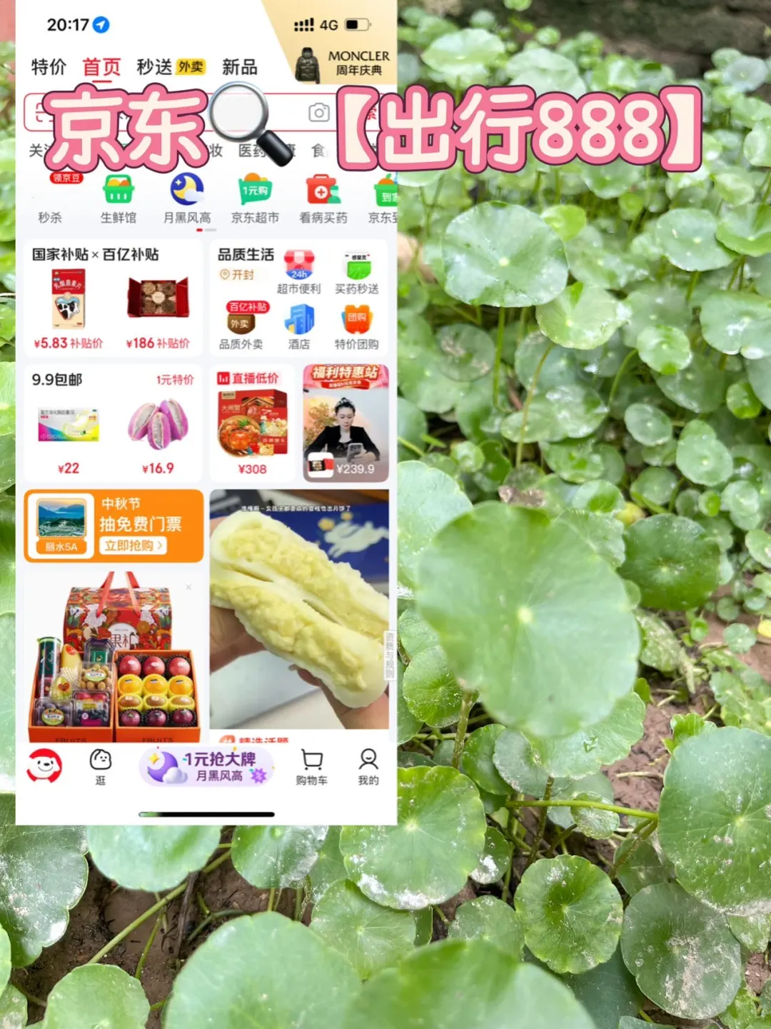 出行必备!上京东买药让旅行全程安心无忧~