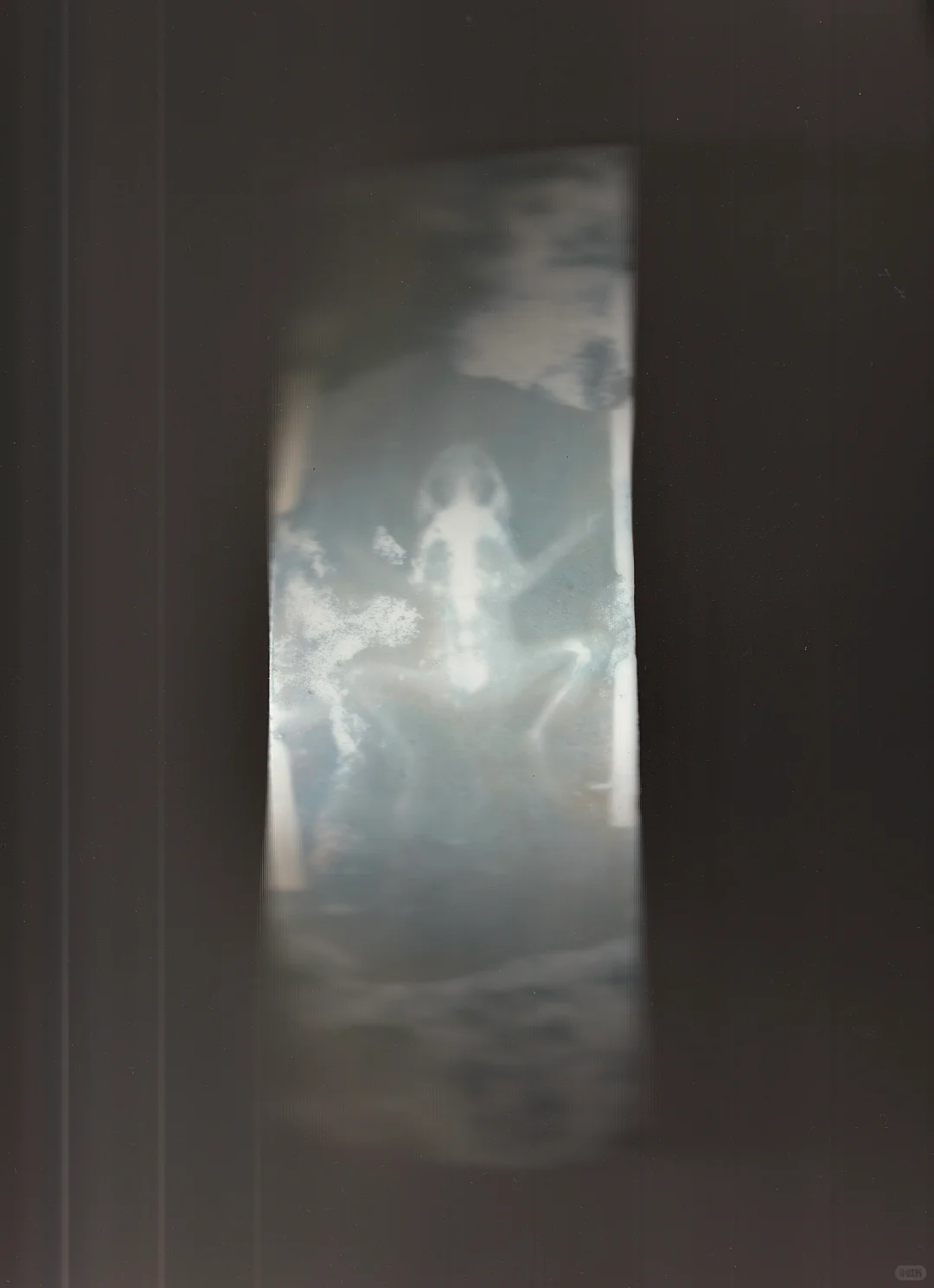 ??RCA ma陶瓷&玻璃|一年制就读体验