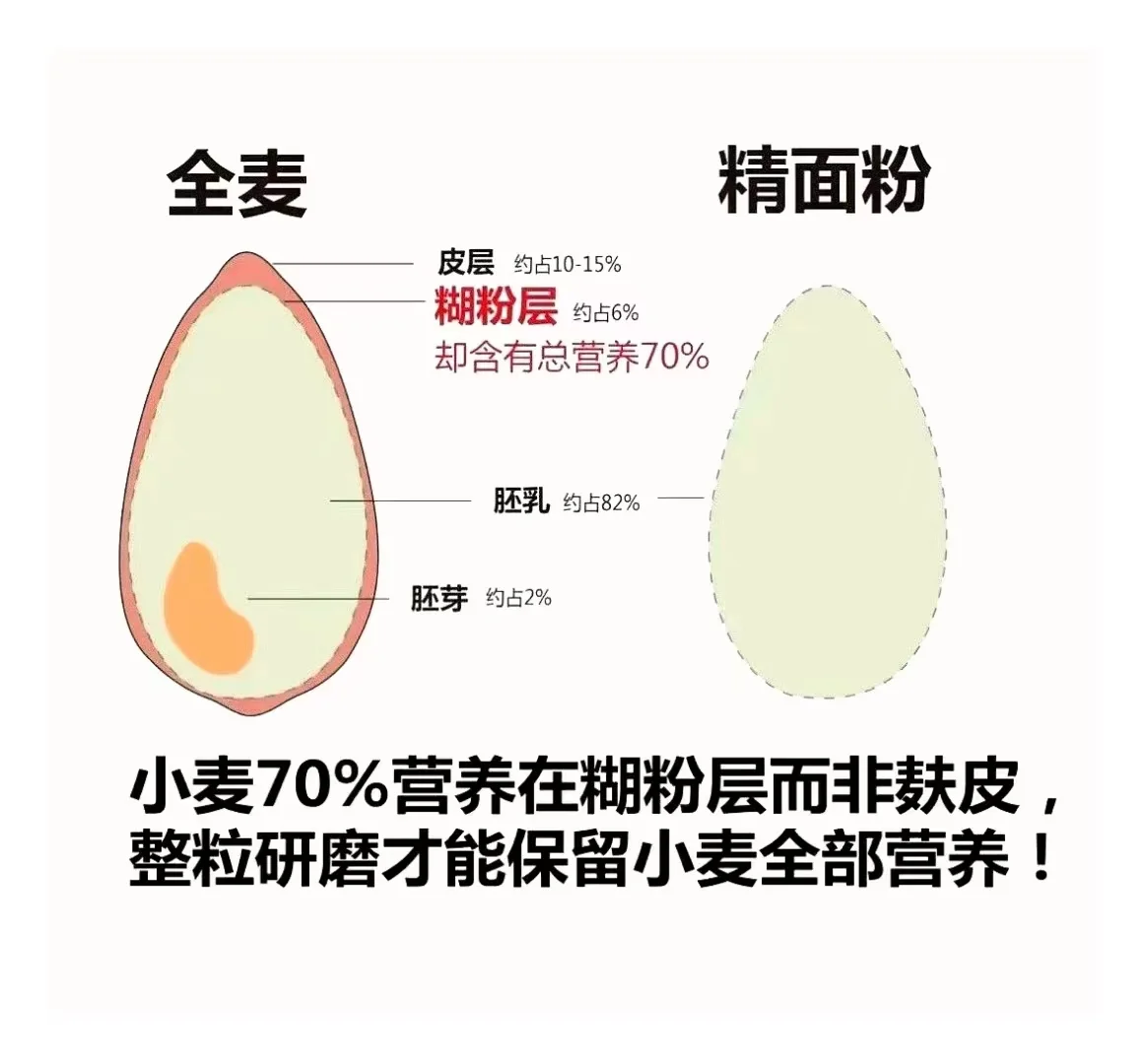 燕麦、大麦、小麦,傻傻分不清吗