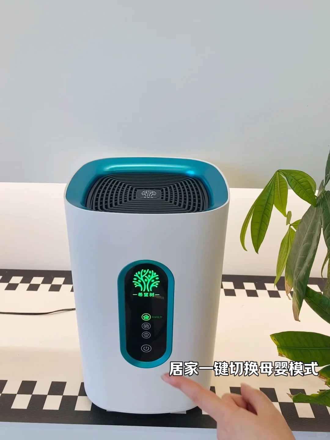 图一到图二15W|真的被它治愈了~