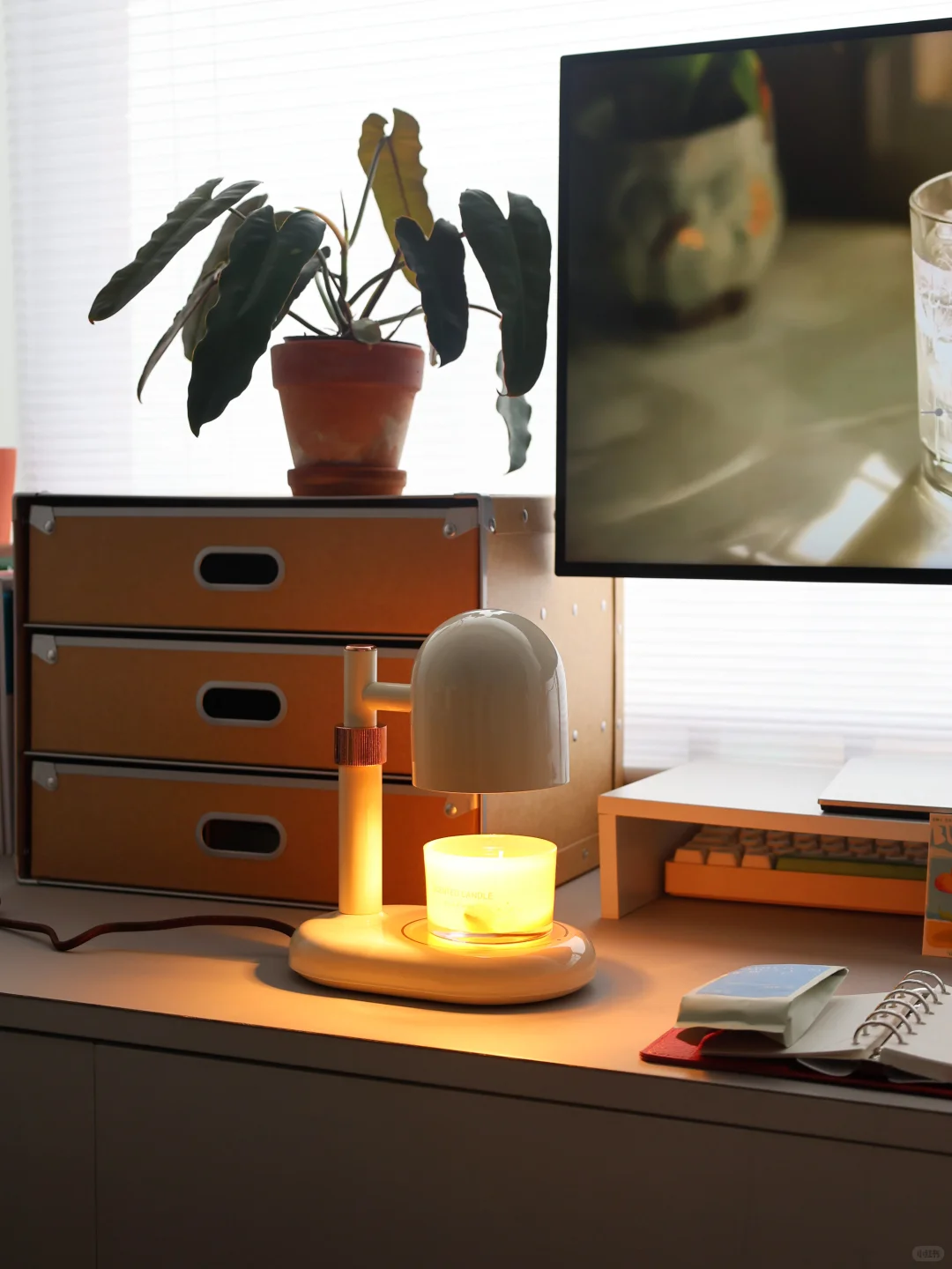 家的日常|在生活的细碎里,寻找生活的温度