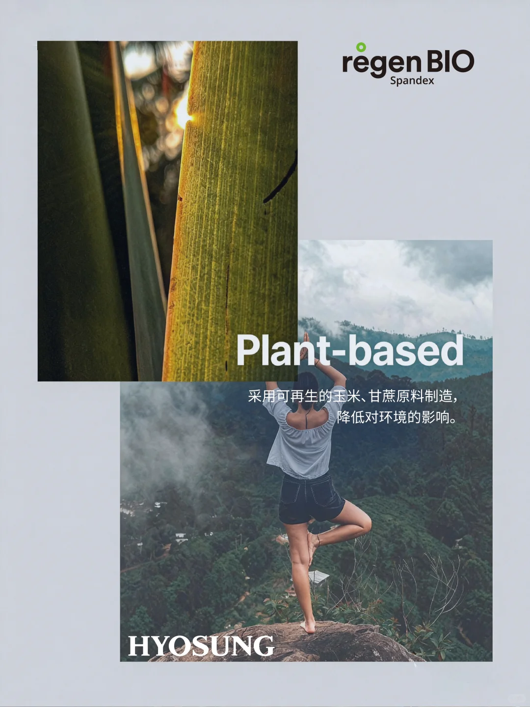 自然环保，晓星领行?