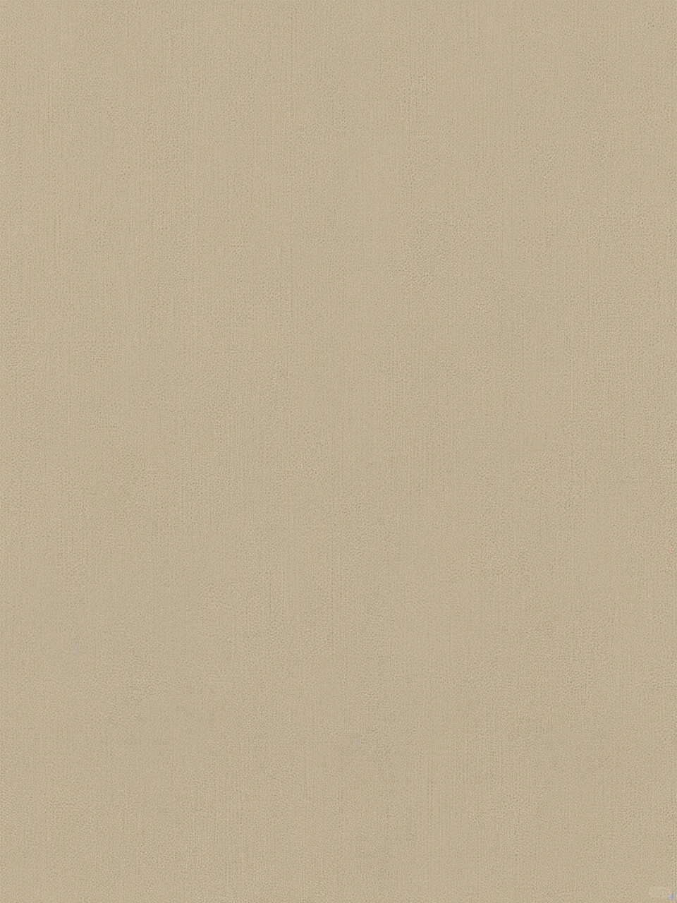 Day67｜米黄色布纹