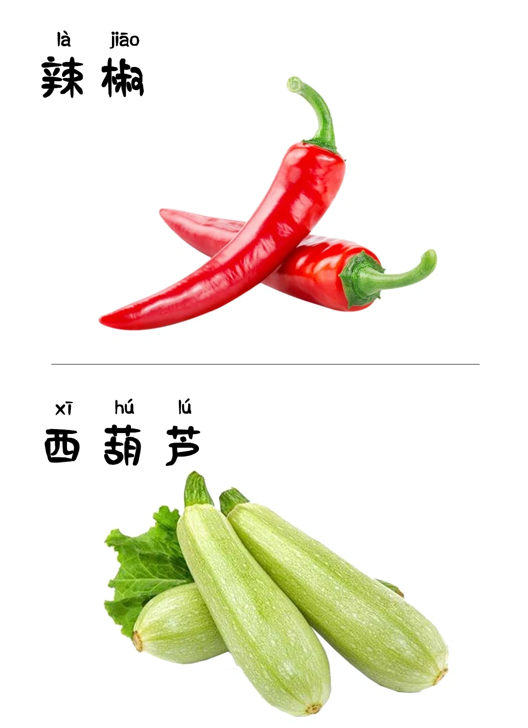 儿童早教启蒙识图-蔬菜