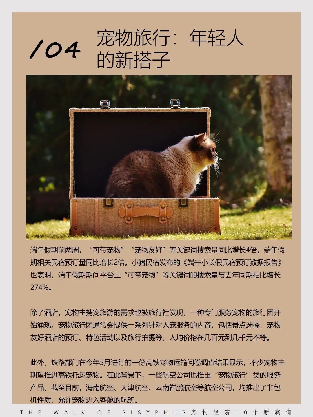 商业洞察｜宠物经济10 个新赛道