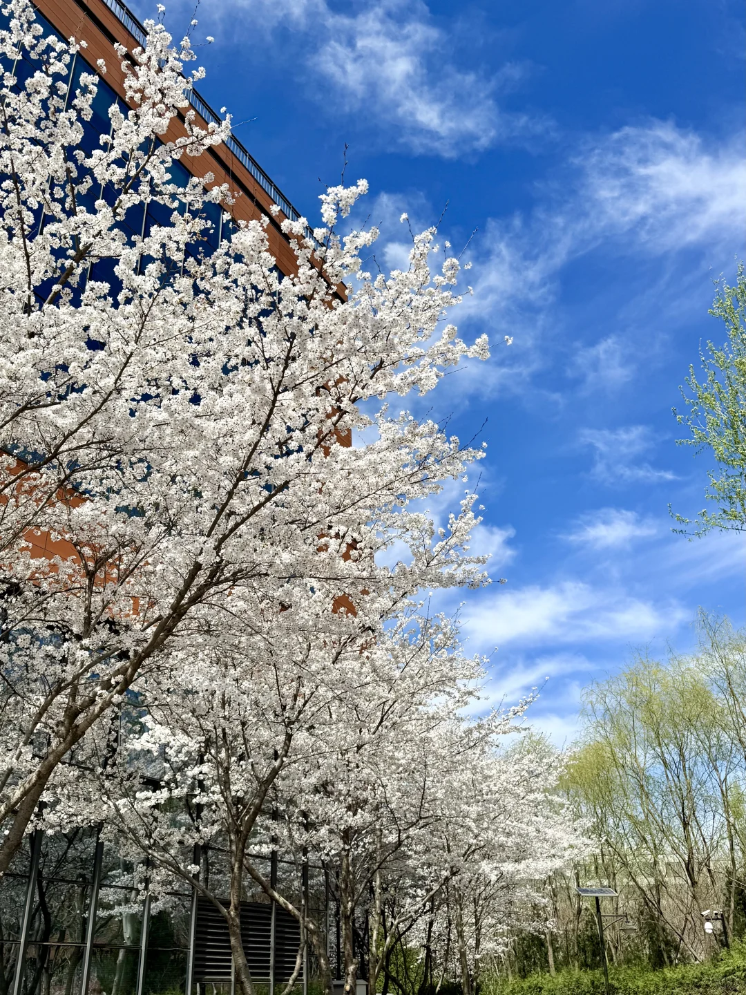有钱人神采奕奕的内核(物质篇)