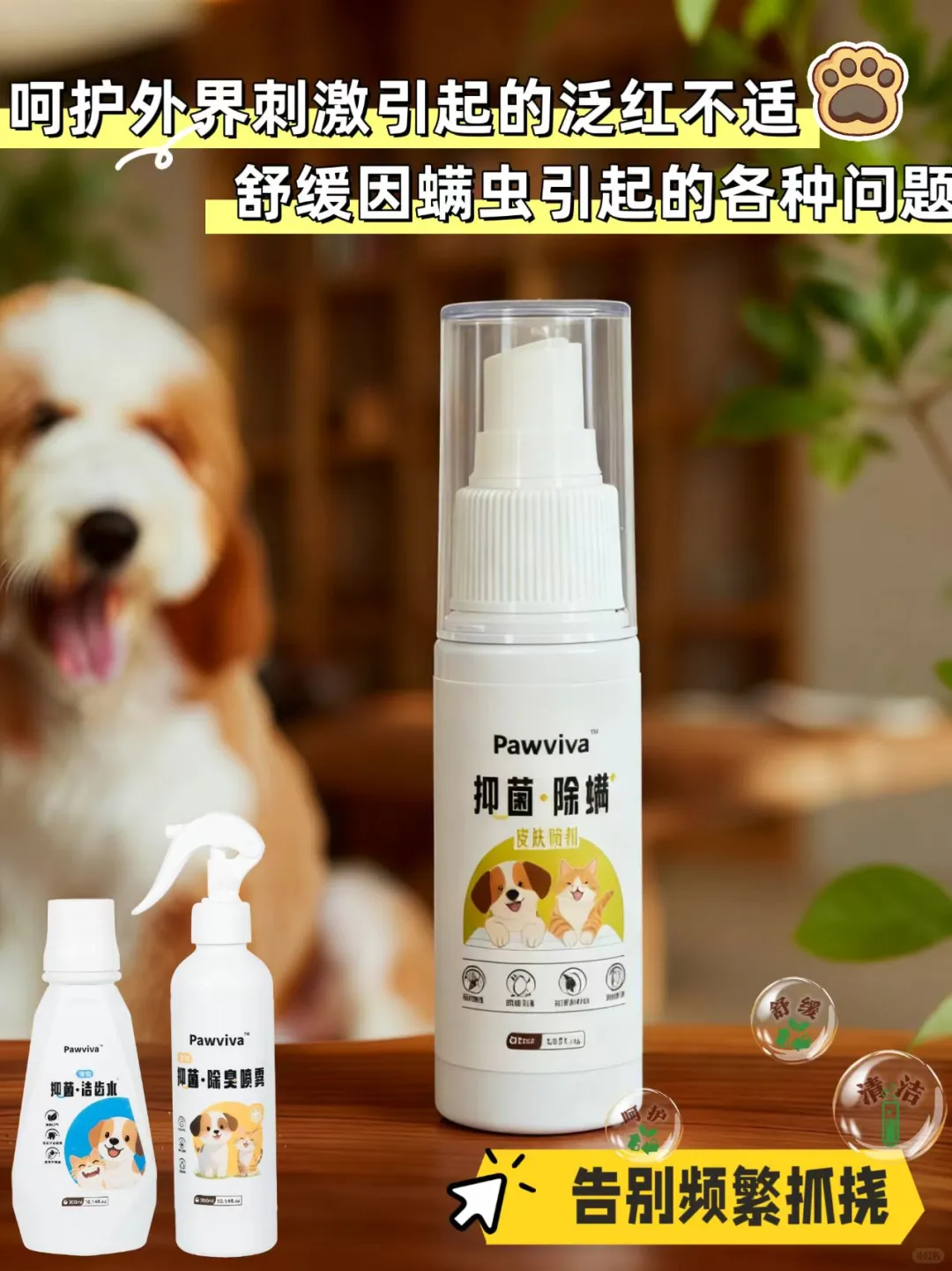 ?Pawviva招募宠物用品天使用户啦