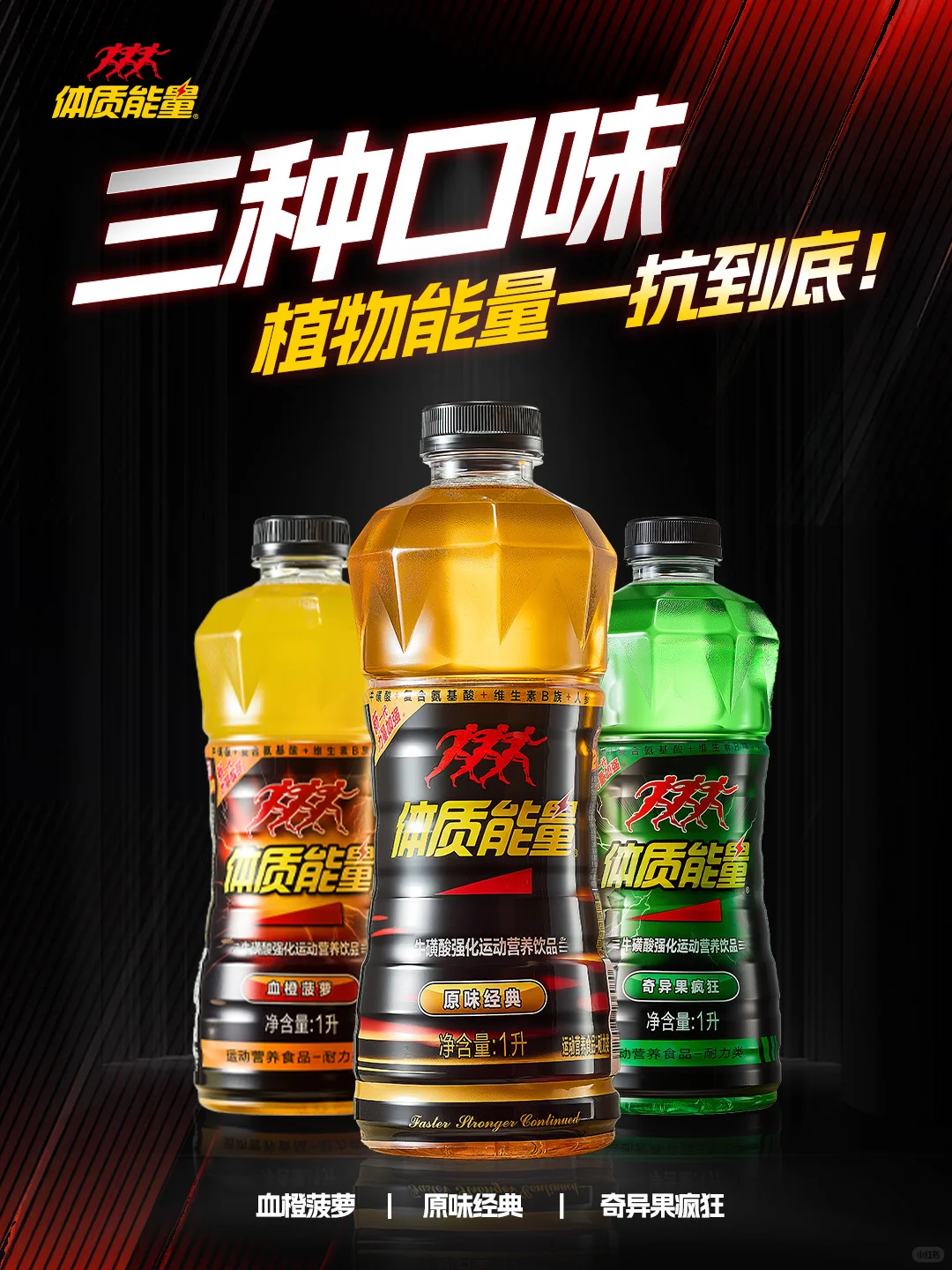 专业配方赋能，多元风味适配——中沃体质能量