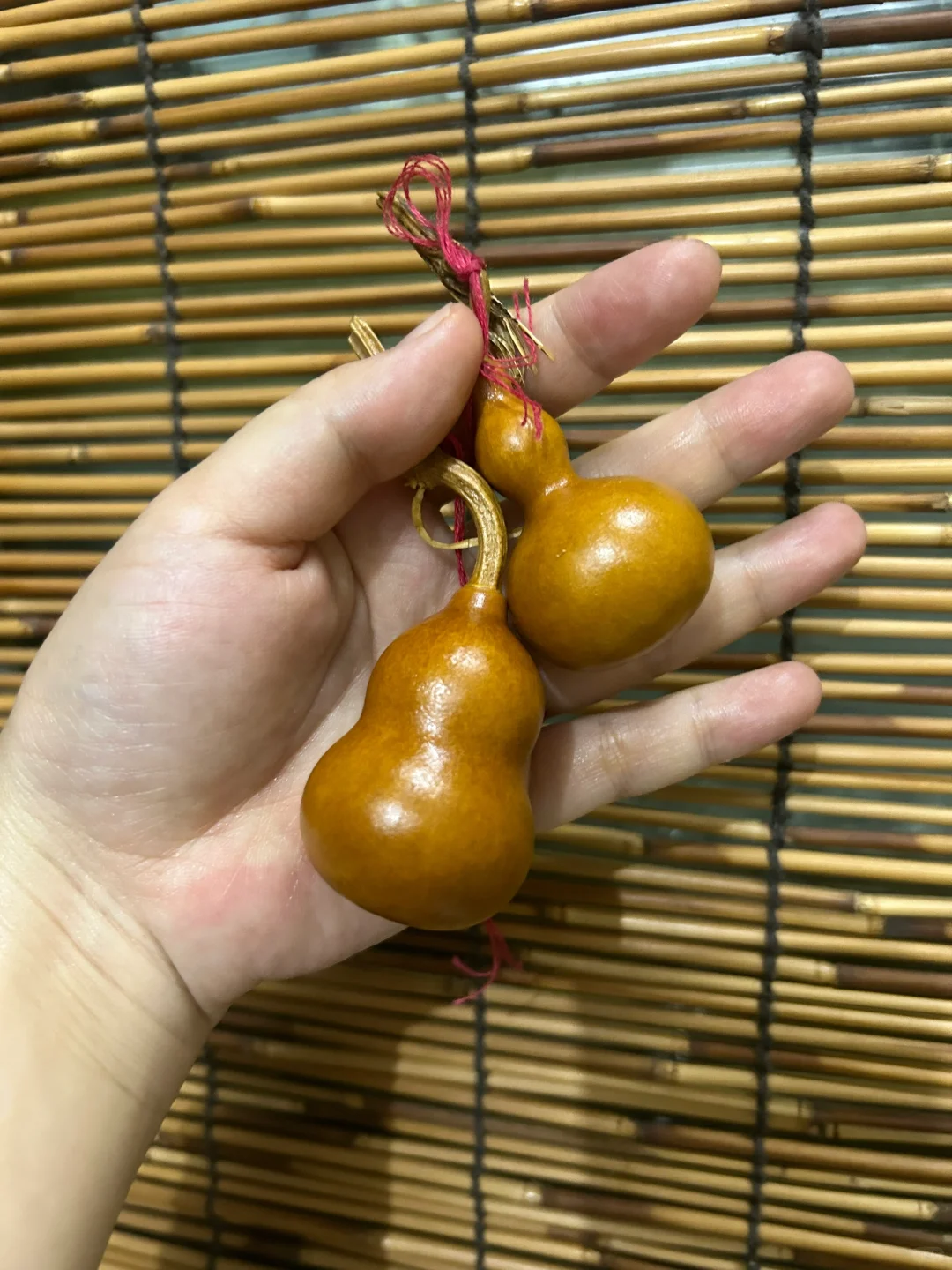 广东到底有多湿！！！