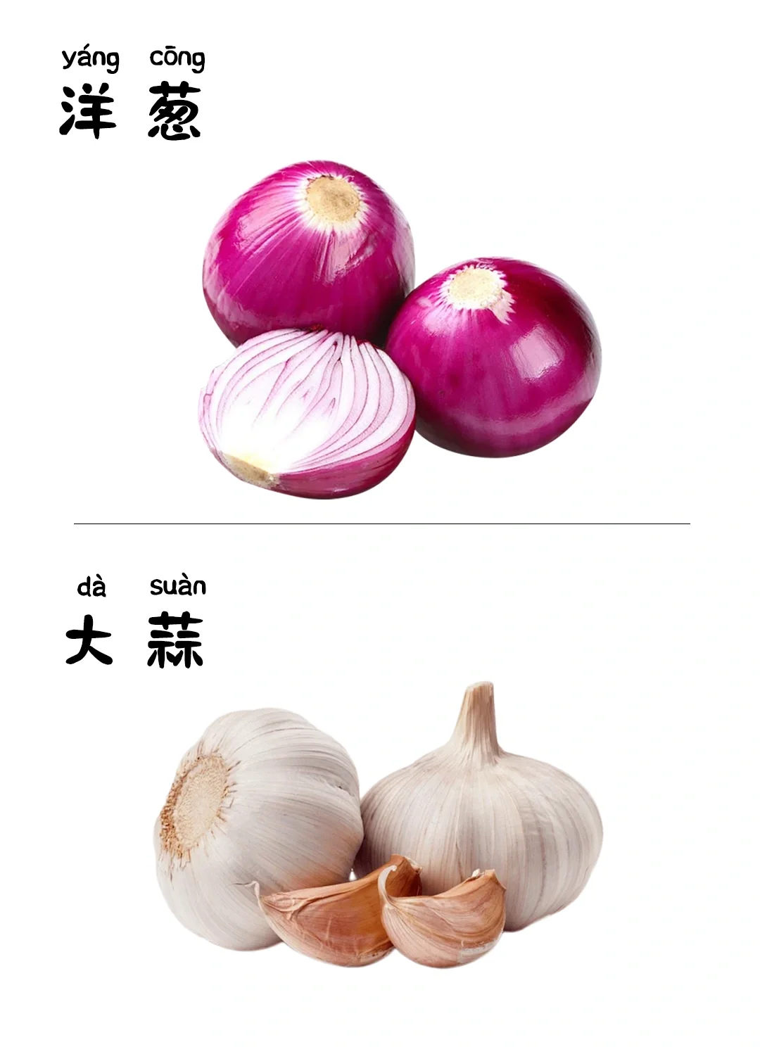 儿童早教启蒙识图-蔬菜